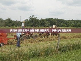 庆阳市镇原县天气庆阳市镇原县天气，多样性与变化无常