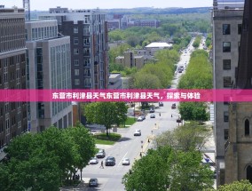 东营市利津县天气东营市利津县天气，探索与体验