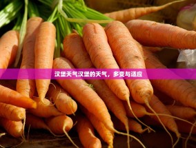 汉堡天气汉堡的天气，多变与适应