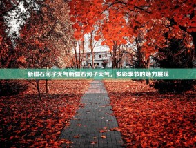 新疆石河子天气新疆石河子天气，多彩季节的魅力展现