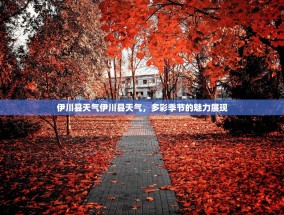 伊川县天气伊川县天气，多彩季节的魅力展现