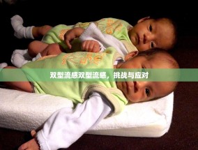 双型流感双型流感，挑战与应对