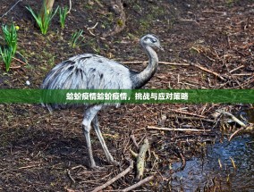 蛤蚧疫情蛤蚧疫情，挑战与应对策略