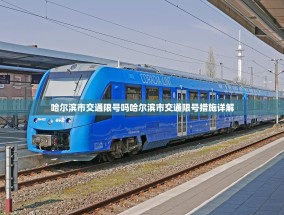 哈尔滨市交通限号吗哈尔滨市交通限号措施详解