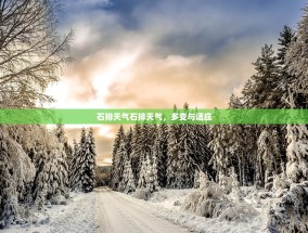 石排天气石排天气，多变与适应