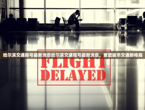 哈尔滨交通限号最新消息哈尔滨交通限号最新消息，重塑城市交通新格局