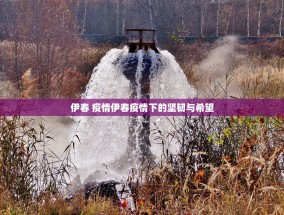伊春 疫情伊春疫情下的坚韧与希望