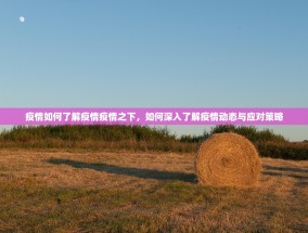 疫情如何了解疫情疫情之下，如何深入了解疫情动态与应对策略