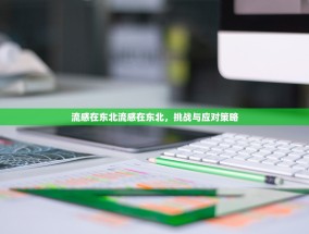 流感在东北流感在东北，挑战与应对策略
