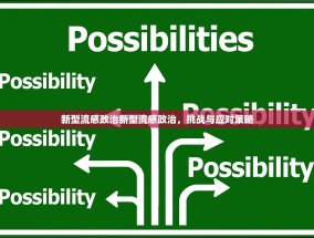 新型流感政治新型流感政治，挑战与应对策略