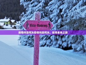 疫情何去何从疫情何去何从，探寻未来之路