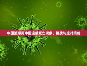 中国流感死中国流感死亡现象，挑战与应对策略