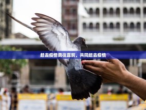 赶去疫情勇往直前，共同赶去疫情