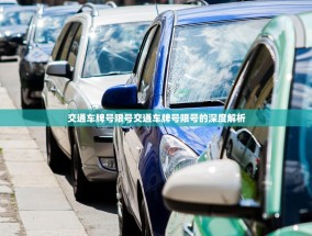 交通车牌号限号交通车牌号限号的深度解析