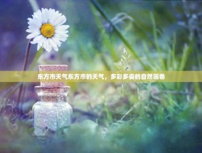 东方市天气东方市的天气，多彩多姿的自然画卷