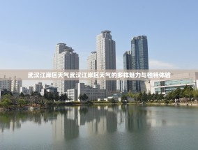 武汉江岸区天气武汉江岸区天气的多样魅力与独特体验