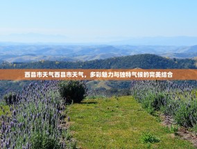 西昌市天气西昌市天气，多彩魅力与独特气候的完美结合