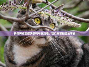 鹌鹑有禽流感吗鹌鹑与禽流感，我们需要知道的事实