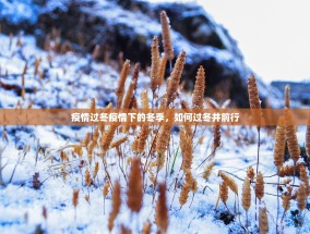 疫情过冬疫情下的冬季，如何过冬并前行
