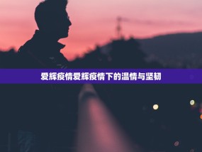 爱辉疫情爱辉疫情下的温情与坚韧