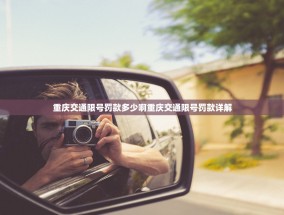 重庆交通限号罚款多少啊重庆交通限号罚款详解