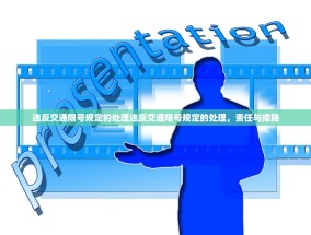 违反交通限号规定的处理违反交通限号规定的处理，责任与措施