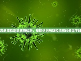 流感原检测流感原检测，早期识别与防控流感的关键手段