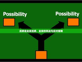 流感是全球流感，全球的挑战与应对策略