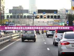 限号的交通违法怎么处理限号交通违法行为的处理策略与实施路径