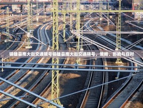 镇雄县南大街交通限号镇雄县南大街交通限号，策略、影响与应对