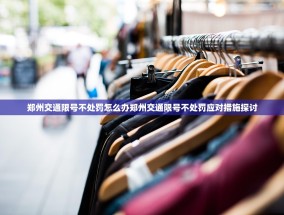 郑州交通限号不处罚怎么办郑州交通限号不处罚应对措施探讨