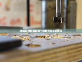 粉笔疫情粉笔疫情下的教育变革与挑战