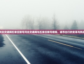 河北交通网石家庄限号河北交通网与石家庄限号措施，城市出行的变革与挑战