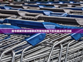 限号根据交通法那条处罚限号措施下的交通法处罚详解