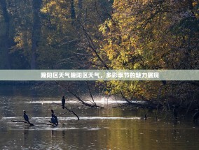 隆阳区天气隆阳区天气，多彩季节的魅力展现