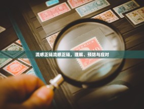流感正链流感正链，理解、预防与应对