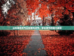 山东寿光天气山东寿光天气，多彩季节的魅力展现
