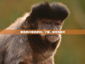 猪流感09猪流感09，了解、防范与应对
