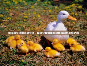禽流感立法禽流感立法，保障公众健康与动物福利的必经之路