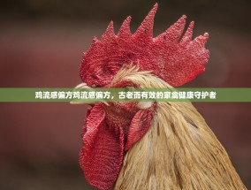 鸡流感偏方鸡流感偏方，古老而有效的家禽健康守护者