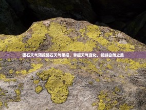 碣石天气预报碣石天气预报，掌握天气变化，畅游自然之美