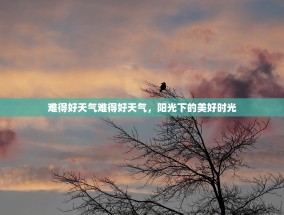 难得好天气难得好天气，阳光下的美好时光