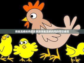 得禽流感的鸡症状表现得禽流感的鸡的症状表现
