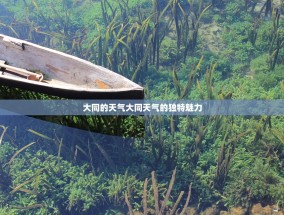 大同的天气大同天气的独特魅力
