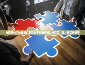 禽流感的手抄报图片禽流感手抄报的魅力与启示，图片背后的故事