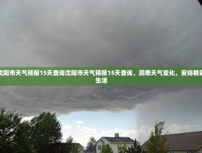 沈阳市天气预报15天查询沈阳市天气预报15天查询，洞悉天气变化，安排精彩生活