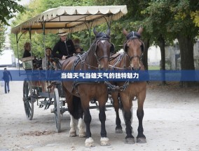 当雄天气当雄天气的独特魅力