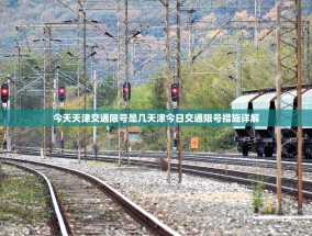 今天天津交通限号是几天津今日交通限号措施详解
