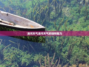 凌河天气凌河天气的独特魅力