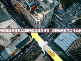 北京限号交通违章处罚北京限号交通违章处罚，保障城市有序运行的必要措施